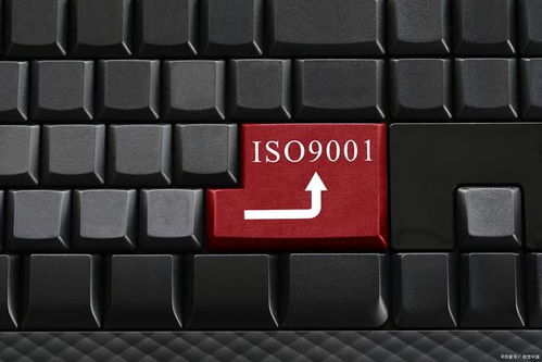 為何這些企業無需進行ISO 9001認證？